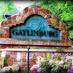 Gatlinburg, TN Cabin (@gatlinburgvrbo) Twitter profile photo Gatlinburg, TN Cabin (@gatlinburgvrbo) Twitter profile photo
