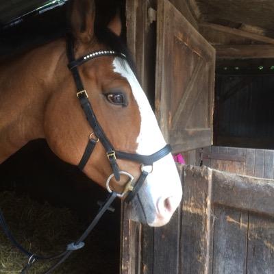 Suzannepipmax's profile picture. 