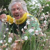 Debaigt Philippe (@philippedebaigt) 's Twitter Profile