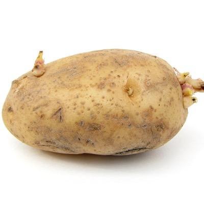 difejs's profile picture. 