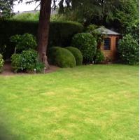 Mina Thakor (@minathakor) 's Twitter Profile