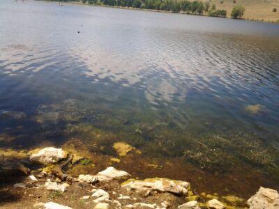 TAHASAADOUN's profile picture. أنتقي ما يروق لي من تغريدات و ما أشعر أنه سيترك أثرا في شخصيا وفي الآخرين.