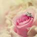 حنين القلوب (@1255almolad) Twitter profile photo حنين القلوب (@1255almolad) Twitter profile photo