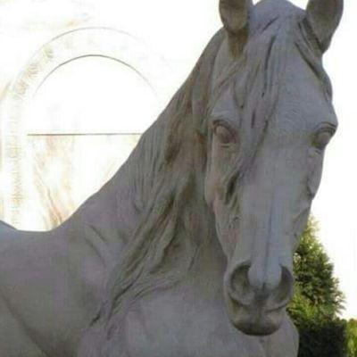 AttaIsdb's profile picture. pomi