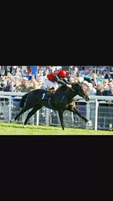 Welcome to my page where my tips are the best around and results prove it. Nap of the day is not to be missed...  https://t.co/TDpZU3aAWY