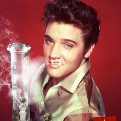Marijuana Lover. El hombre mas amante de la Marihuana.