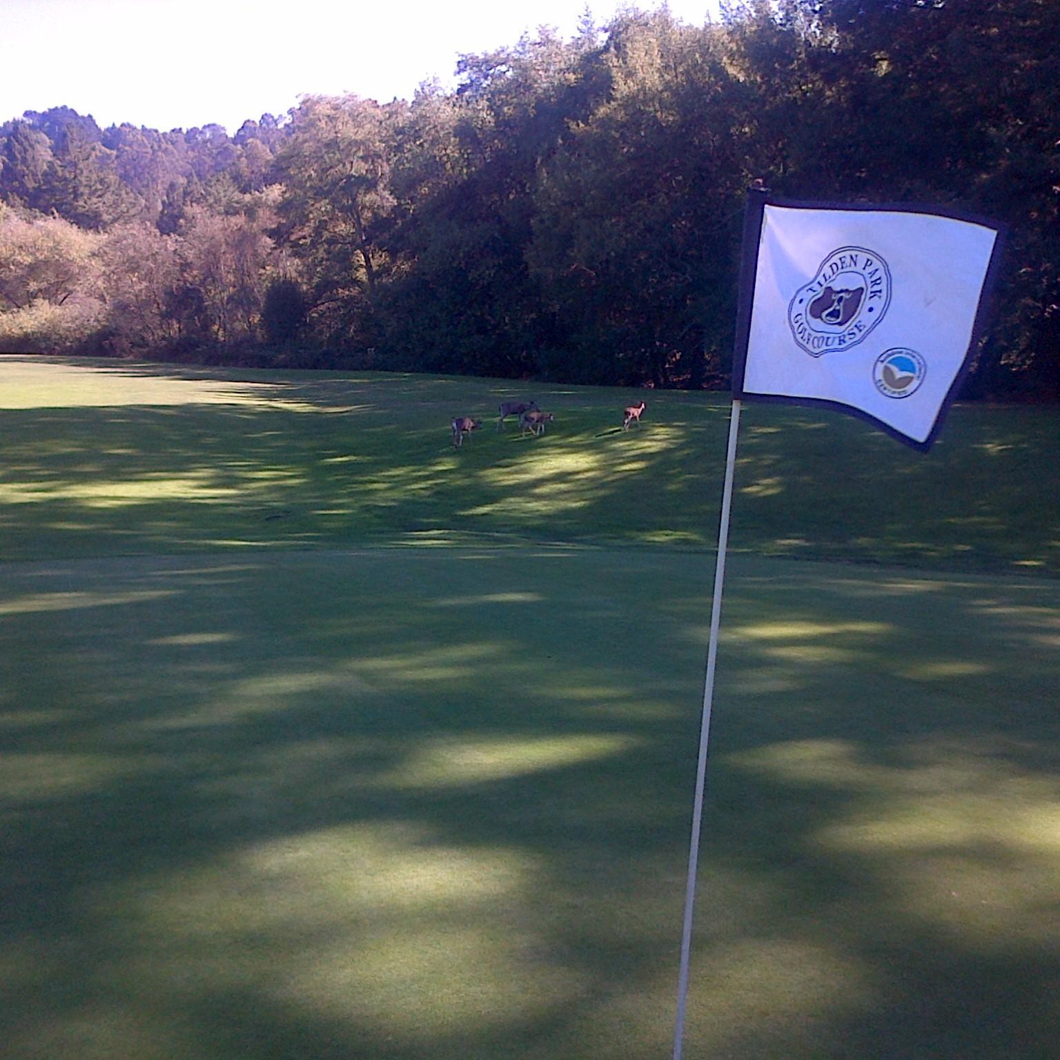 Gearing up for this years golf season