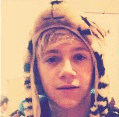 just a not normal teen loving:  1D, Niall, pizza, Niall, sleep and oh I forgot to mention Niall...