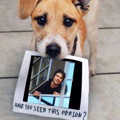 Hellyeahtvd's profile picture. 