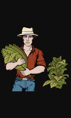 Why forage when you could farm ?