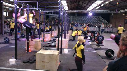 WodboxOss's profile picture. 