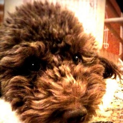 naonotlater's profile image