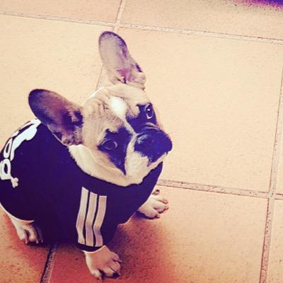 4ngelotti's profile picture. ¡Vuelo como una mariposa y pico como una abeja!