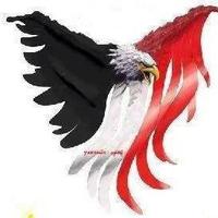 الأمل المصرى (@alamal_almesry) Twitter profile photo