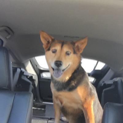 JenDJ13's profile picture. 