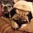 Jason Stetson - @JayBallz01 - Twitter