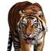 Coach Robertson (@natrackcoach) Twitter profile photo