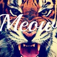 although she is small, she is fierce