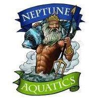 saltwater fish, corals, freshwater fish, Aquatic Plants