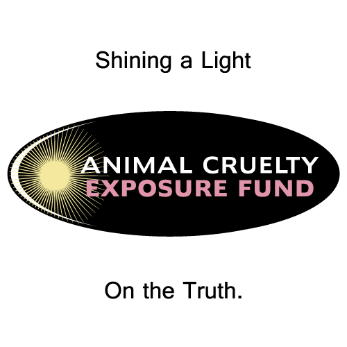 AnimalCruExFund's profile picture. Animal Cruelty Exposure Fund’s mission: to expose animal cruelty through main stream media such as TV, streaming, social media, billboards.