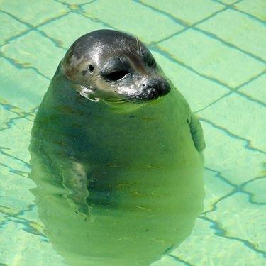 エロは世界を救う