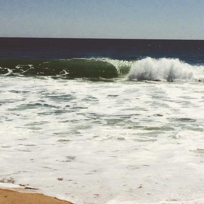 anonymousblog99's profile picture. A place to be free