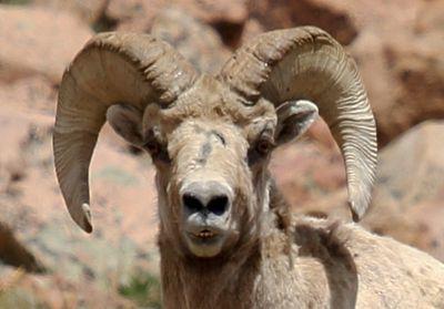 PetroskyMark's profile picture. 