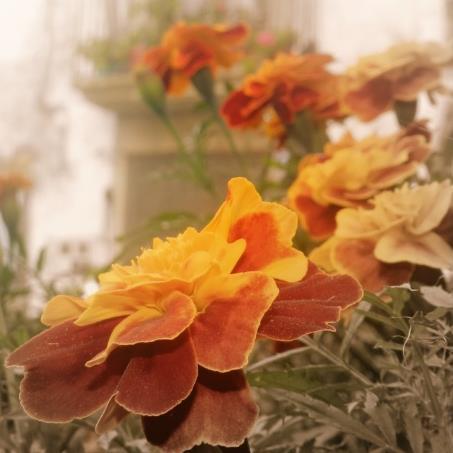 LiberoSpain's profile picture. 