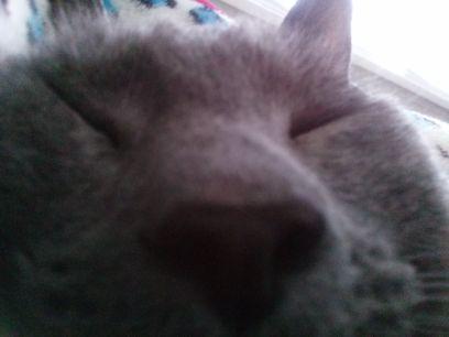 cathyoff's profile picture. 