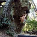 Daniel Ristow - @DanielRistow - Twitter