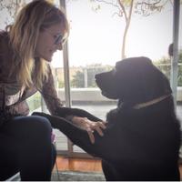 Laura Dern (@lauradern) 's Twitter Profile