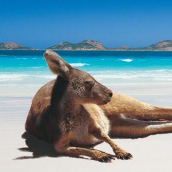 Australian-borne