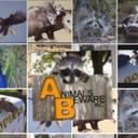 Jason Levinson - @AnimalsBeware - Twitter