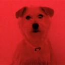 Ed Tam - @EdTam01 - Twitter