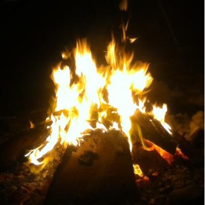 tarvissetspike's profile picture. 