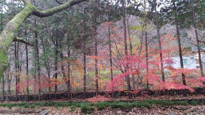 farlmer's profile picture. 