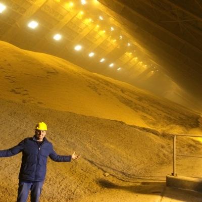 Engenheiro Agrônomo - David Canabarro - Lagoa Vermelha