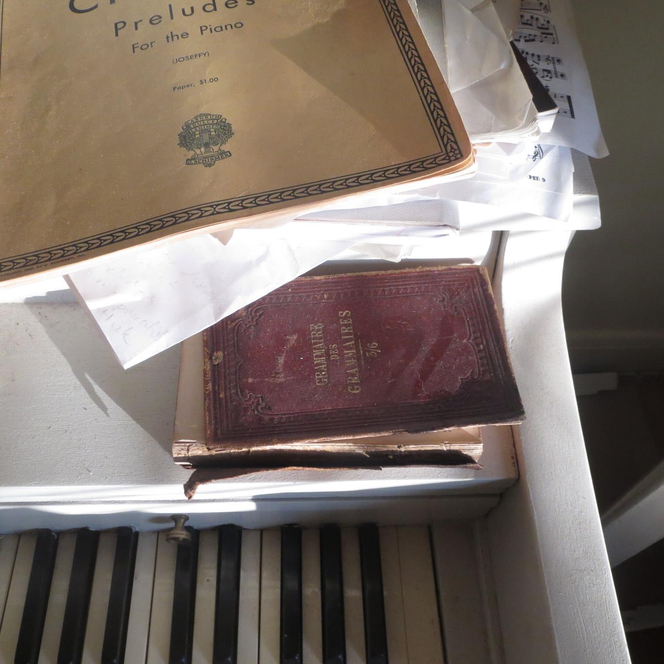 lerreurmagnific's profile picture. Une théorie de l'autodidactisme