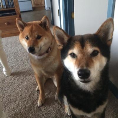 Wyatt_Lizzie's profile picture. 