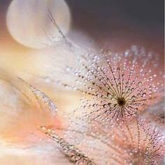 Khaoulha's profile picture. #Sapiosexual and #radioactive. 
Mostly #paradoxal. And the list is long... Keep a safe distance!🕵🏻‍♀️