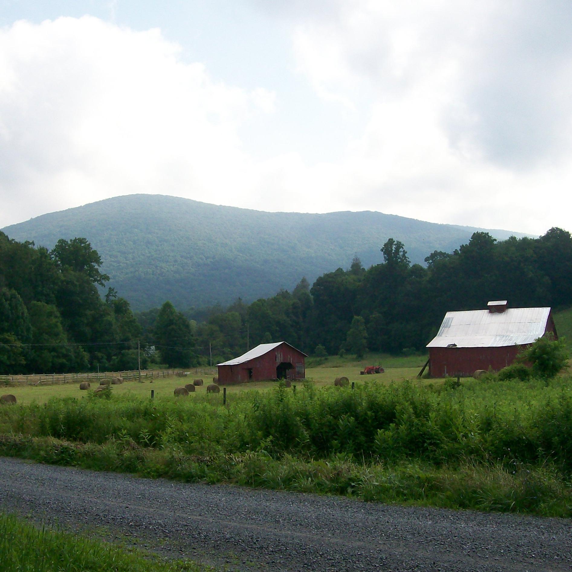 Southwest Virginian now transplanted elsewhere, writing and thinking about Appalachia and what home means.