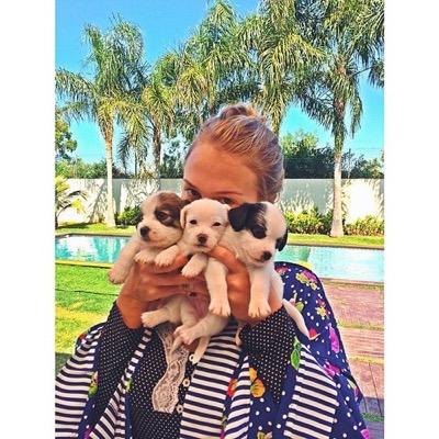 #teansuga MANAGER!!! I HAVE 5 DOGS!!!