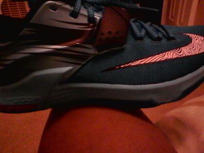 westlshond's profile picture. 