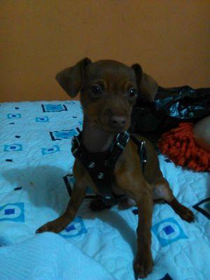 Hija,fútbol, rock.......