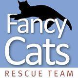 Rescuing stray and unwanted cats and dogs. Finding them loving forever homes.