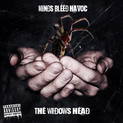 mindsbleedhavoc@gmail.com | https://t.co/4EQwtbKr5e | https://t.co/DQO8Ni317E