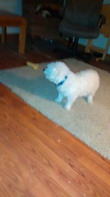 rjfrank44's profile picture. 