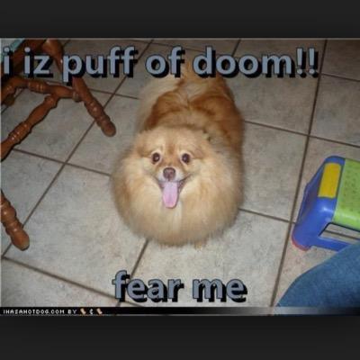 BFLHhero85's profile picture. Eat,Sleep,Football