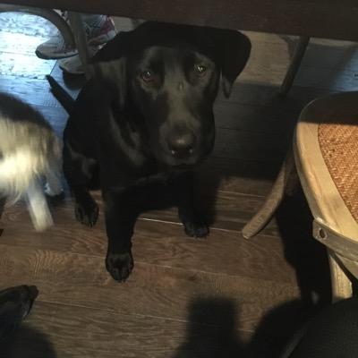 LaddAnthony's profile picture. 