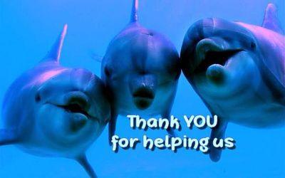 ANG3L3SMAR's profile picture. 